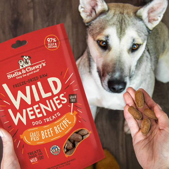 Nutrisource dog food chewy online