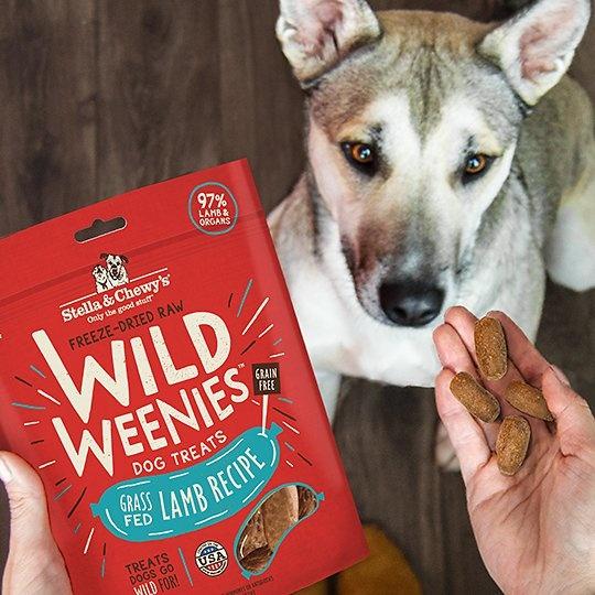 Go wild shop dog food