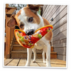 Doggijuana Tuffer Chewer Refillable Supreme Pizza Dog Toy (Large)