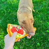 Doggijuana Tuffer Chewer Refillable Supreme Pizza Dog Toy (Large)