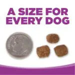 NutriSource® Large Breed Puppy Recipe Healthy Puppy Food for Large Breeds