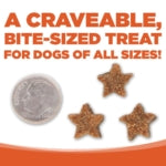 NutriSource SuperStars Soft & Tasty Cheddar Cheese Training Rewards Treats for Dogs