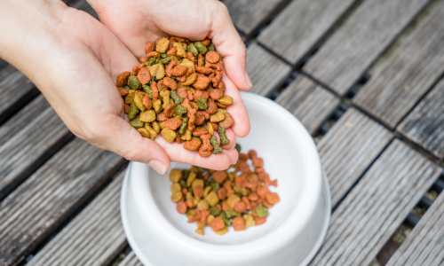 A close-up of dry dog food in an individuals hands being poured into a white dog bowl.