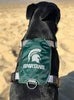 Baydog Michigan State Dog Harness