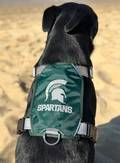 Baydog Michigan State Dog Harness