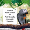 Lafeber Company Tropical Fruit Nutri-Berries for Parrots