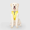 Canada Pooch Grow-With-Me Raincoat