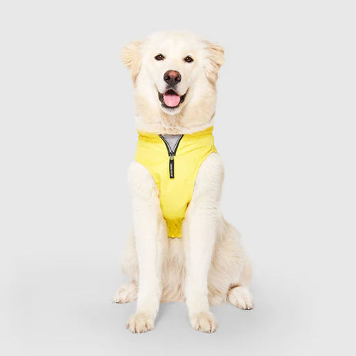 Canada Pooch Grow-With-Me Raincoat