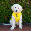 Canada Pooch Grow-With-Me Raincoat