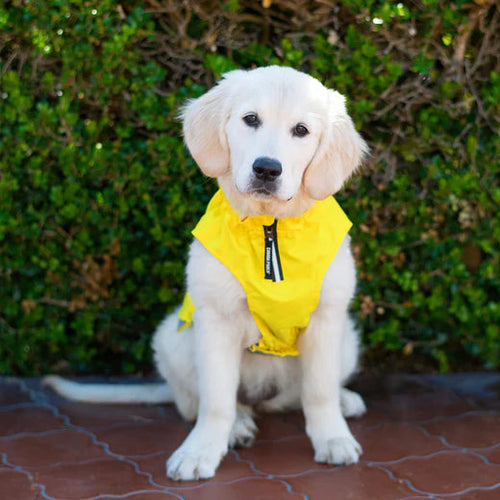 Canada Pooch Grow-With-Me Raincoat
