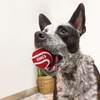 KONG Signature Balls Dog Toy 3-Pk