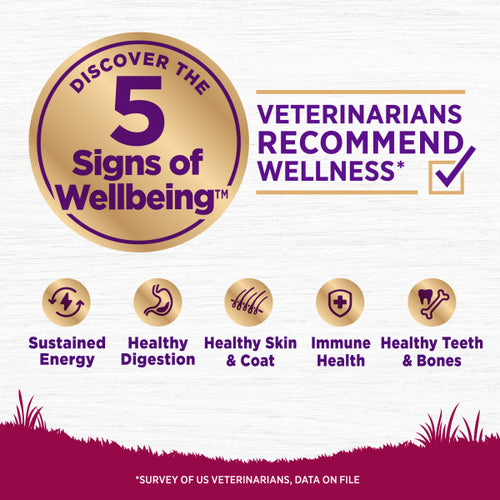 Wellness Complete Health Grain Free Small Breed Deboned Turkey, Chicken Meal and Salmon Meal Recipe Dry Dog Food