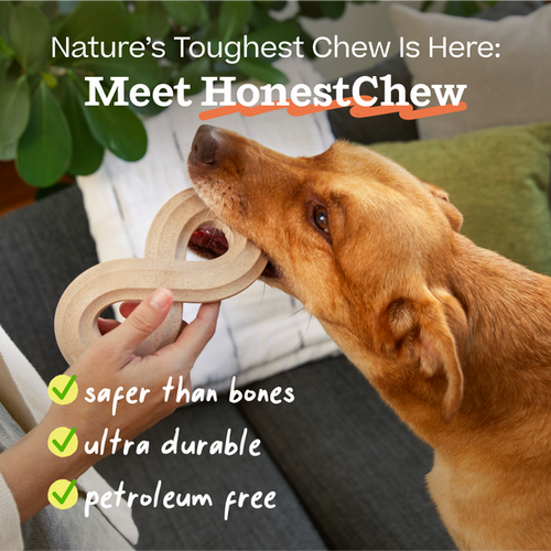 Woof HonestChew Antler Dog Treats