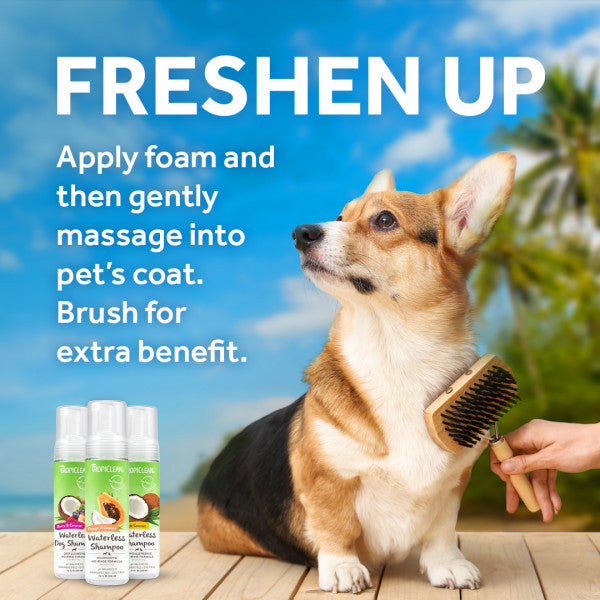 Waterless puppy cheap shampoo