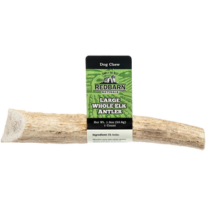 Redbarn Large Whole Elk Antler