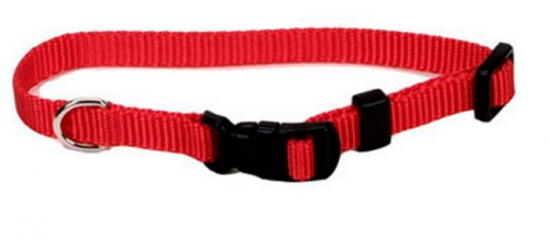 Coastal Pet Products Tuff Buckle Adjustable Nylon Small Dog Collar Coastal Pet Products Tuff Buckle Adjustable Nylon Small Dog Collar