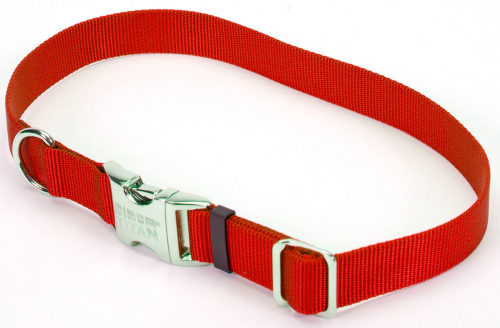 Coastal dog collars metal buckle deals