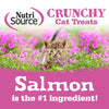 NutriSource® Crunchy Cat Salmon & Tuna Treats (3 Oz)