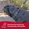 Coastal Pet Titan Easy-On Dog Prong Training Collar with Buckle