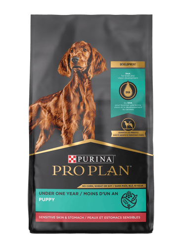 Purina Pro Plan Puppy Sensitive Skin & Stomach Lamb & Oat Meal Formula Dry Dog Food