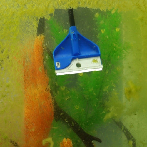 Aqueon ProScraper 3.0™ Short Aquarium Algae Scraper